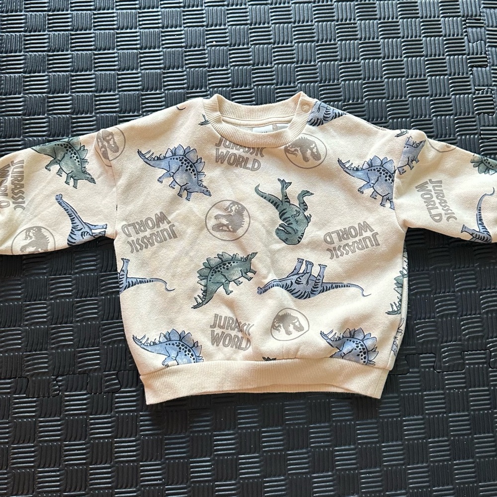 Dinosaur Print Sweatshirt - Cream